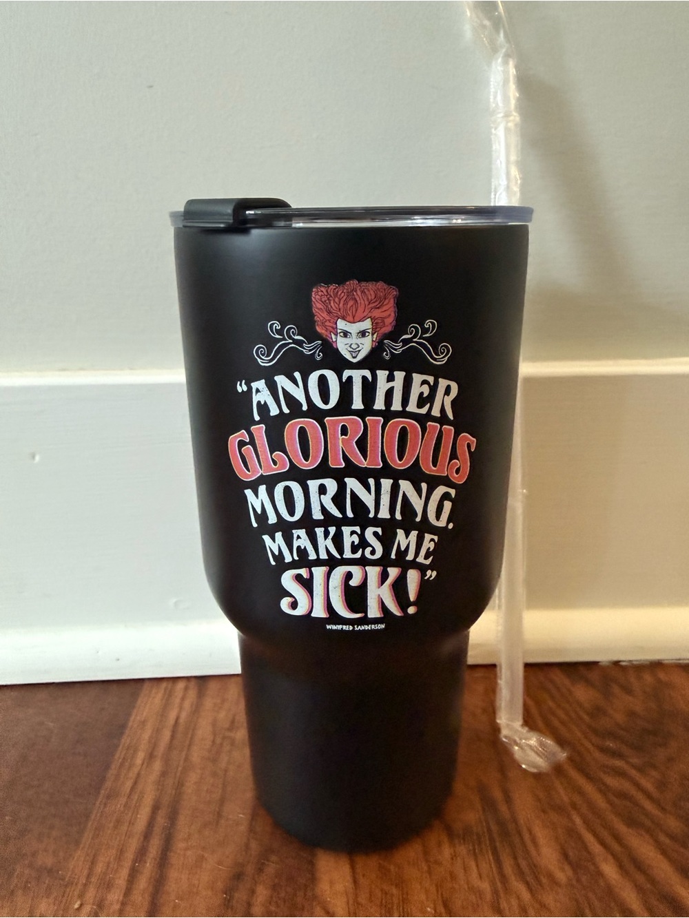 Disney's Hocus Pocus Halloween Tumbler Straw cup water stainless 27oz NEW